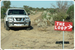 Western Australia 4wd widflower tours